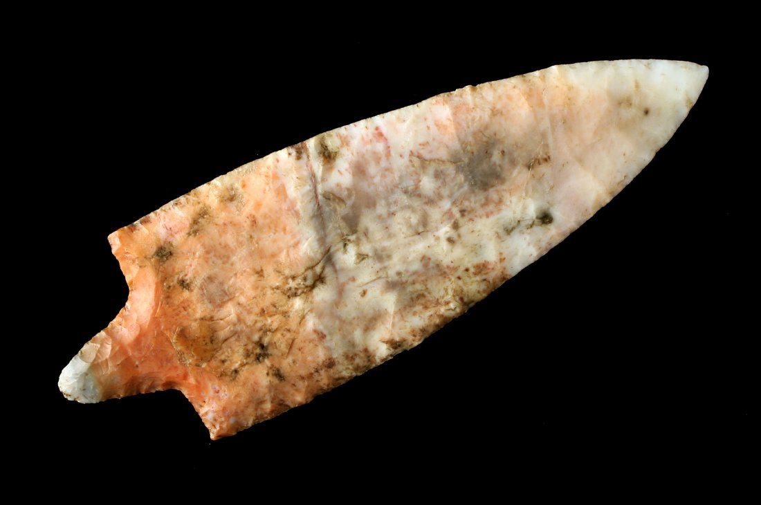 5" Reproduction Marion: Agatized Coral example. Pretty. As-Is Reproduction.