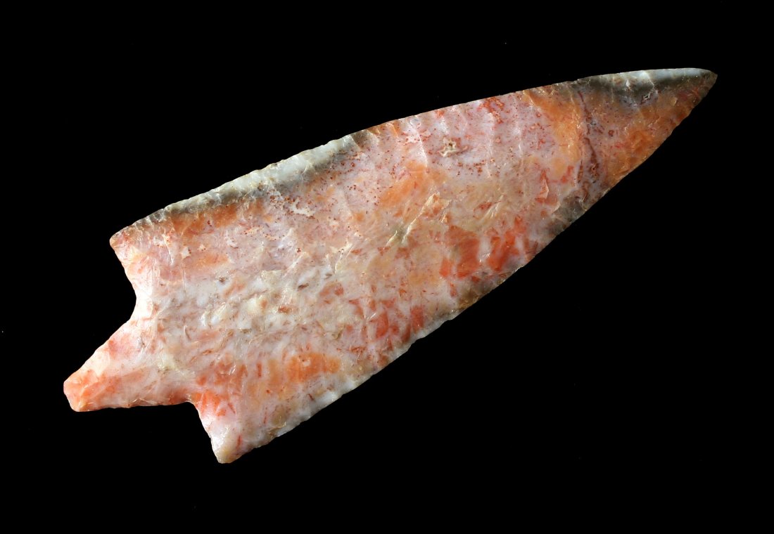 4 1/2" Reproduction Marion: Colorful Agatized Coral. Sold as-is