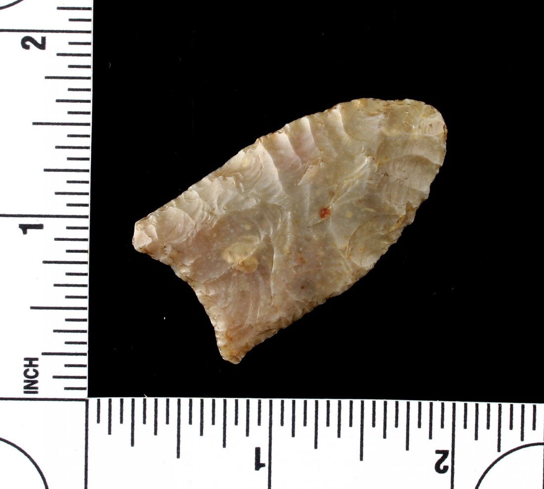 1 3/4" Colorado Clovis - Jackson G-8+ COA (1 of 3)