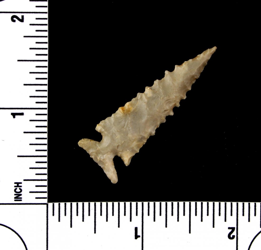 1 3/4" G-10 Edwards: Stunning example with great serrations in gray Edwards Plateau Chert. Ex- Harold French Collection.
