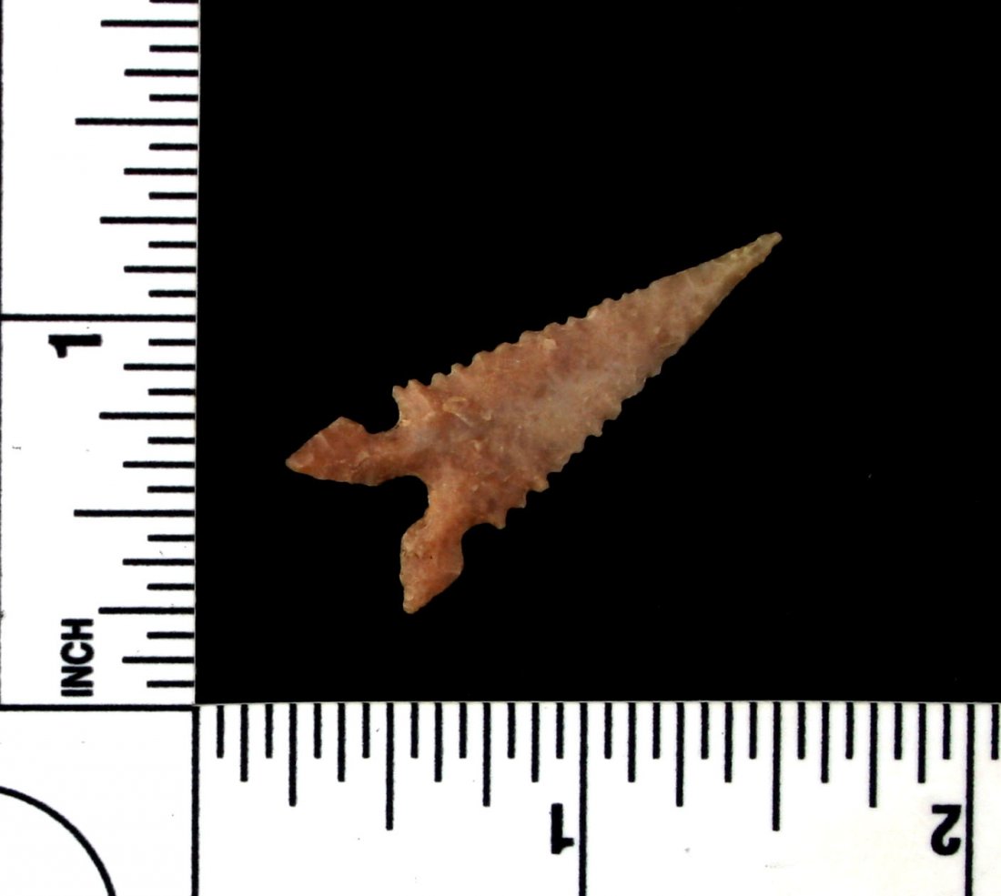 'G-10' 1 3/8" Toyah Birdpoint (1 of 2)