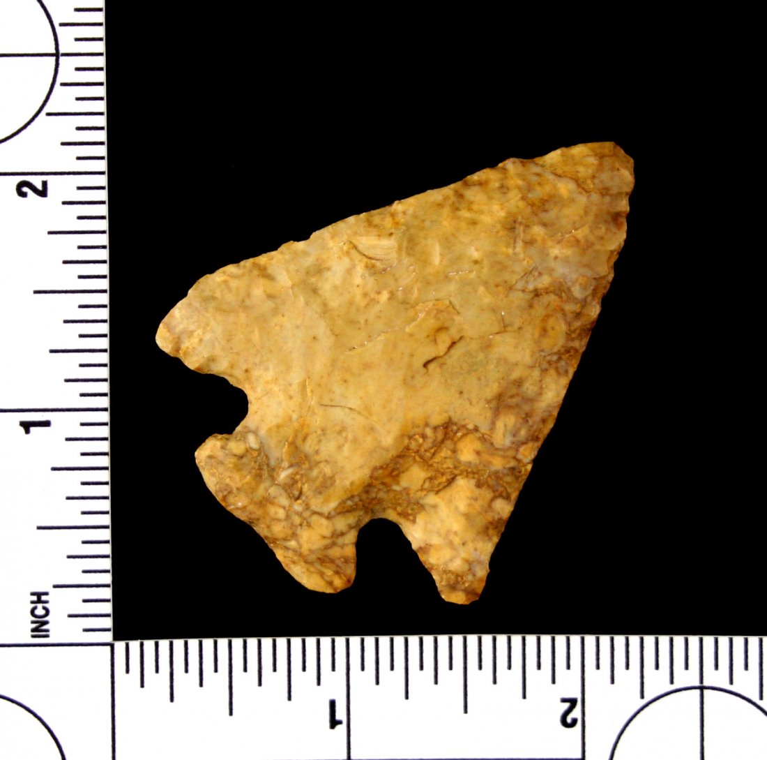 2 5/16" Pentagonal - Bennett COA (1 of 2)