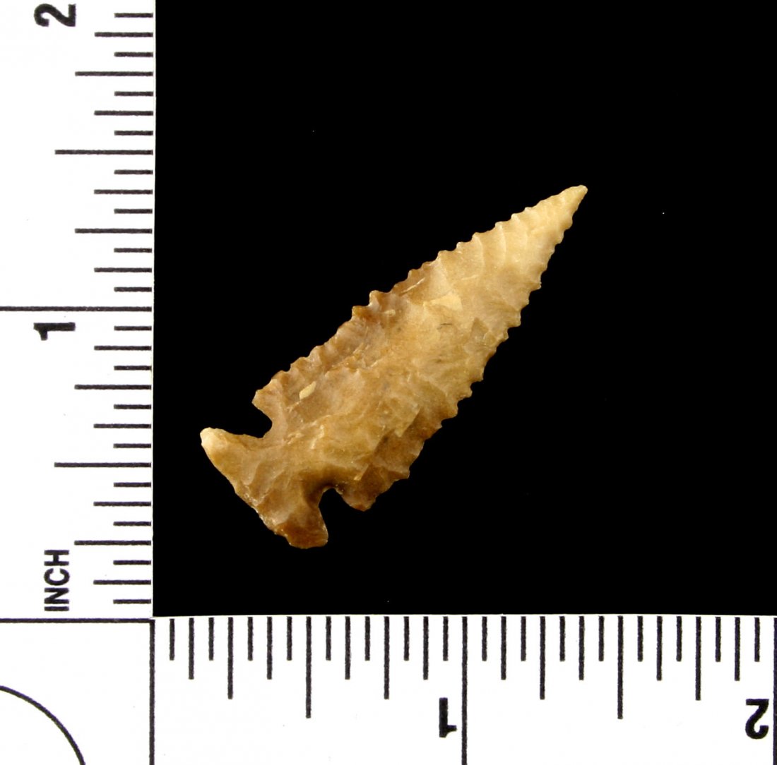 1 1/2" G-9+ Edwards (1 of 2)