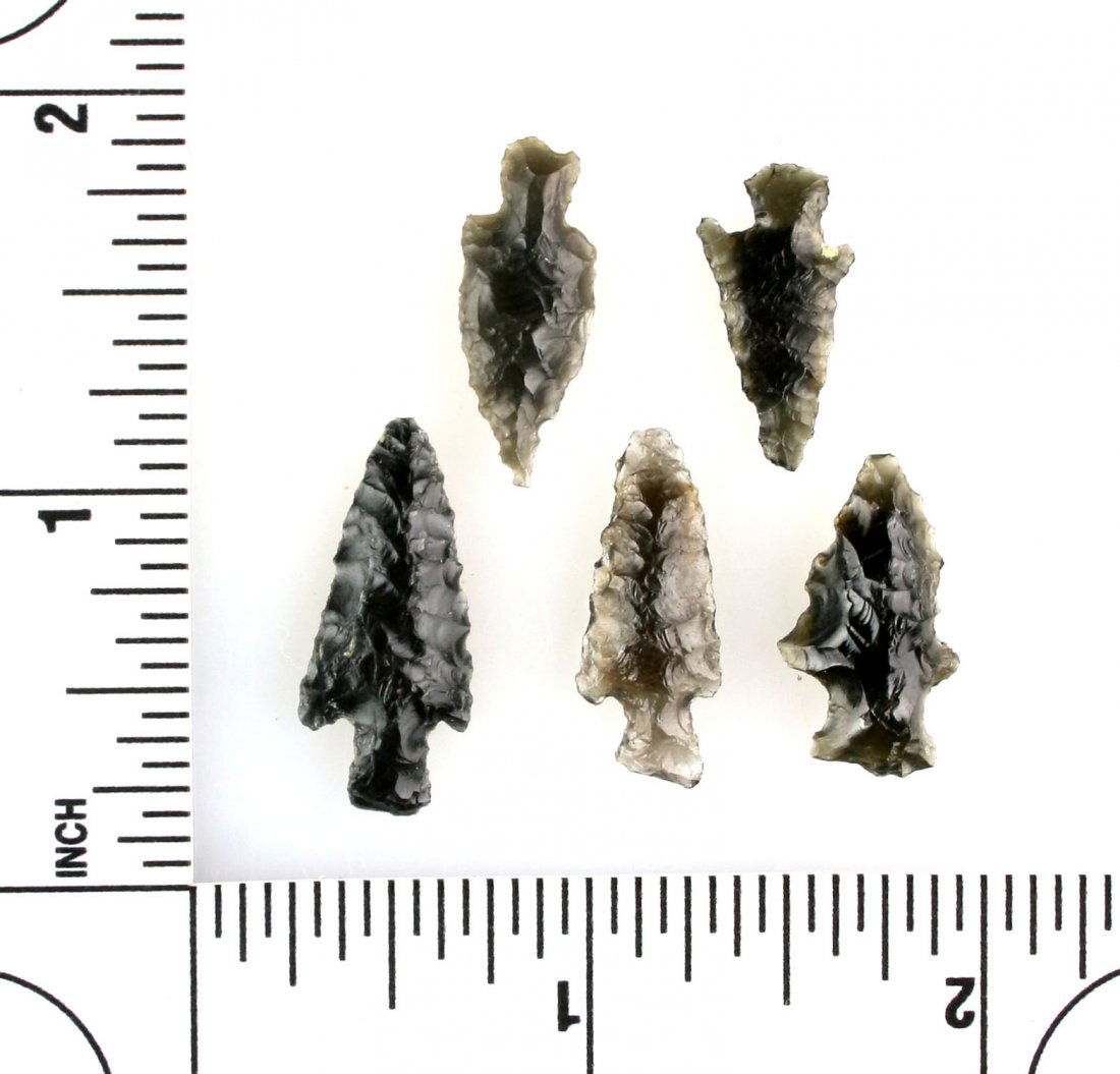 5 Oregon Birdpoints (1 of 1)