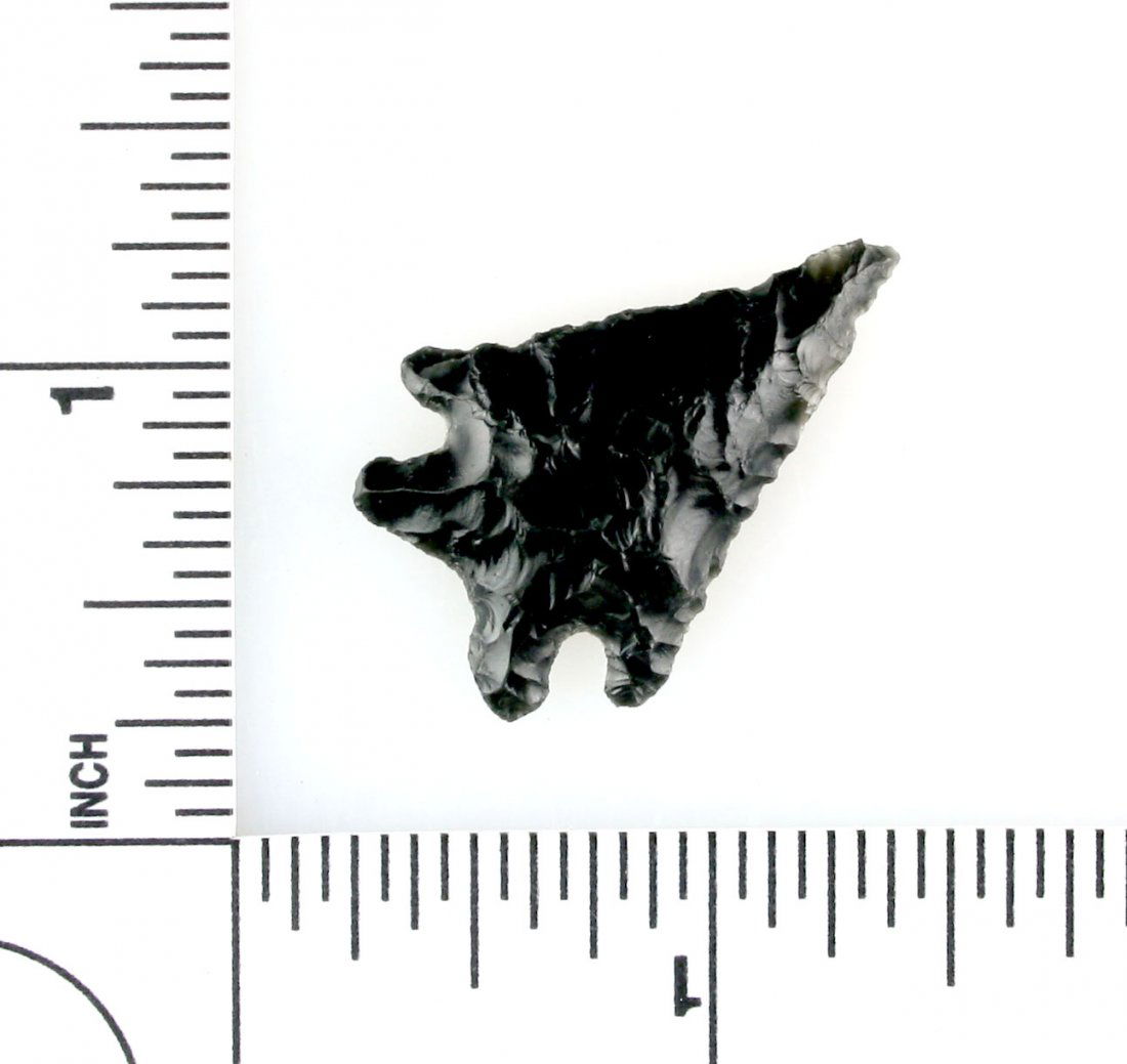 1 1/4" Elko Corner Notch (1 of 2)