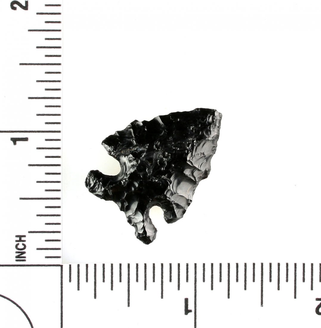 1 1/8" Elko: Lake Co., Oregon Obsidian. Ex - Reg Seely Collection.
