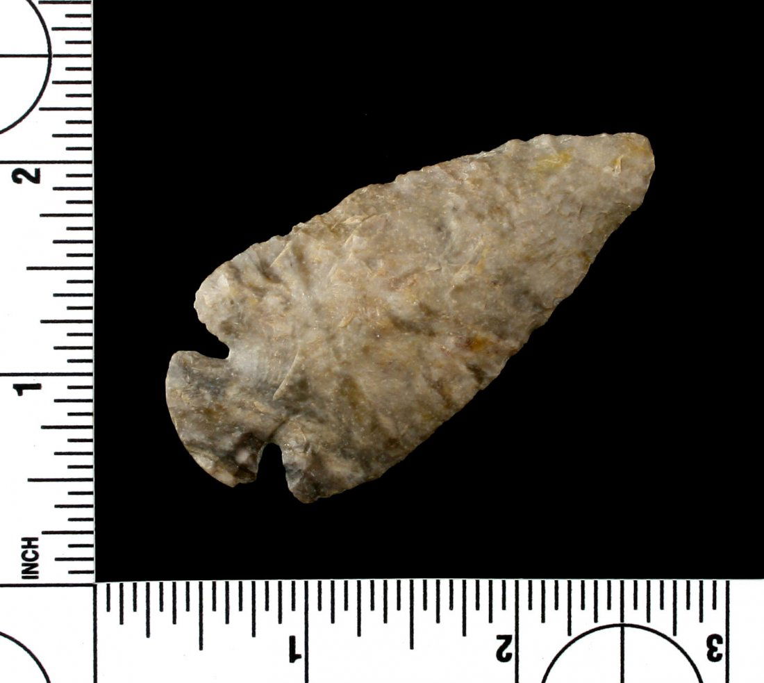 2 5/8" Dovetail (1 of 2)