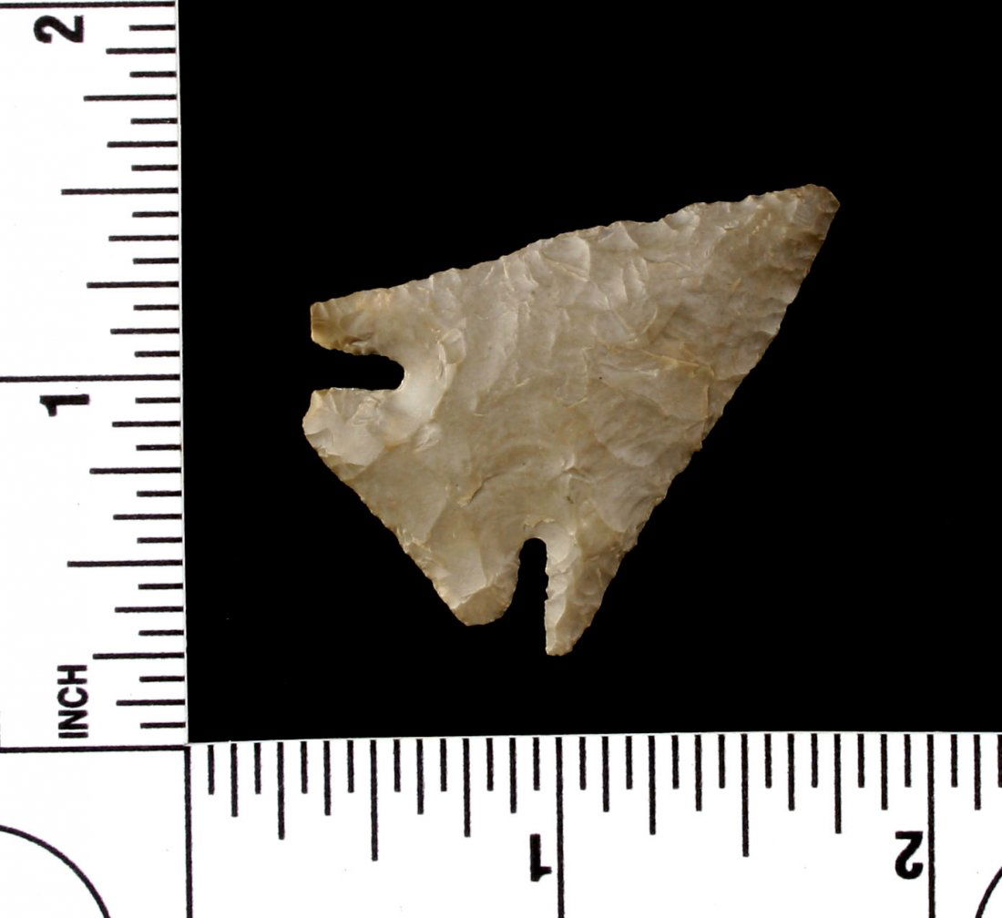 1 1/2" Elko Corner Notch (1 of 2)