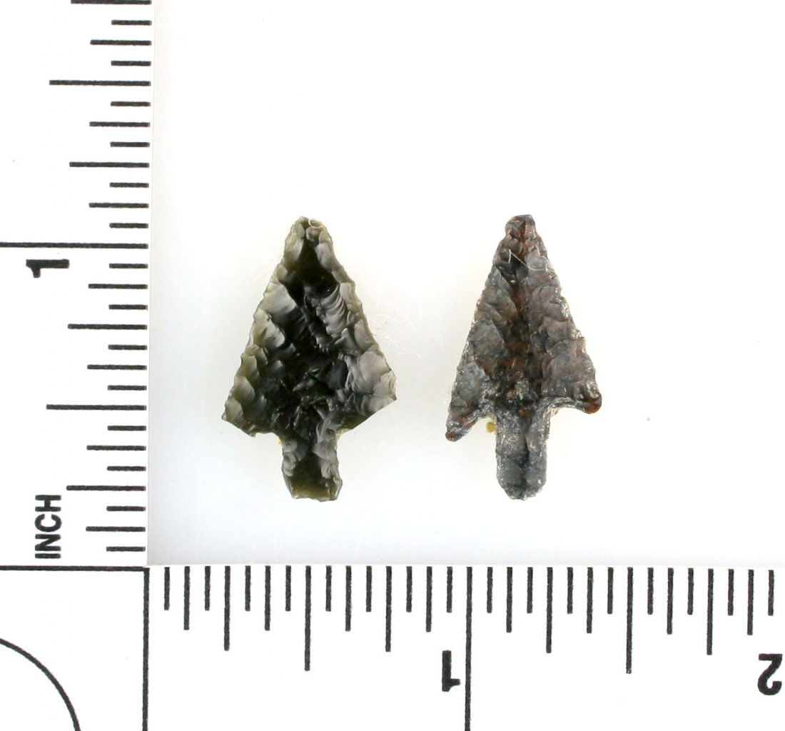 Pair of Oregon Birdpoints (1 of 1)