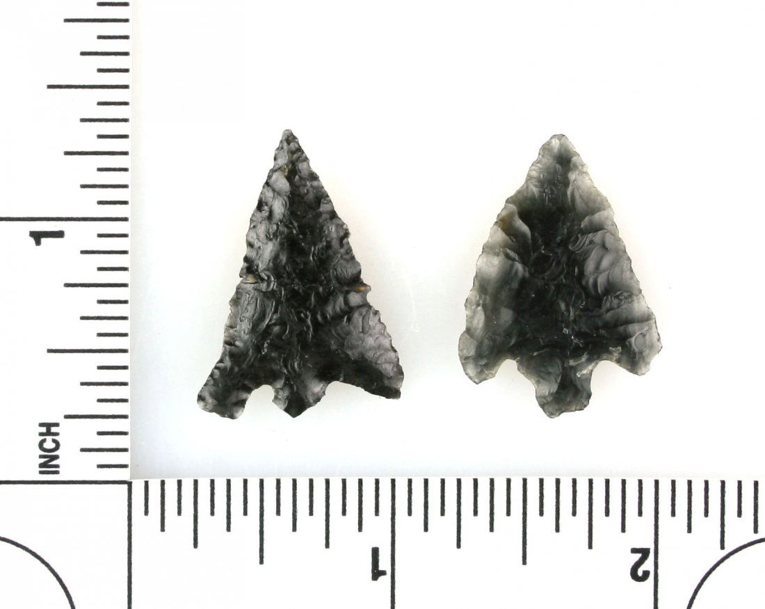 Pair of Oregon Birdpoints (1 of 1)