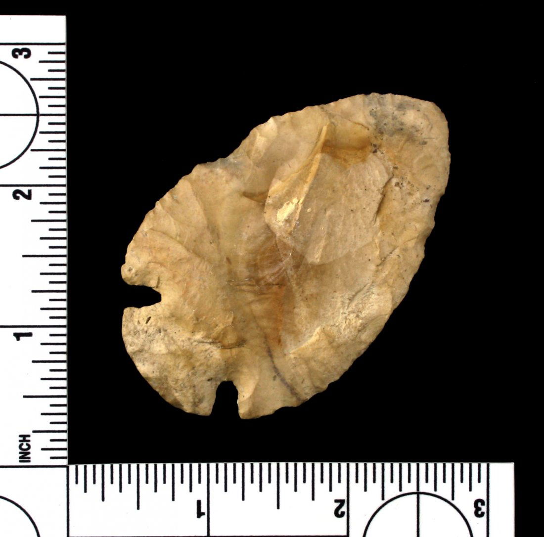 2 13/16" Dovetail (1 of 2)