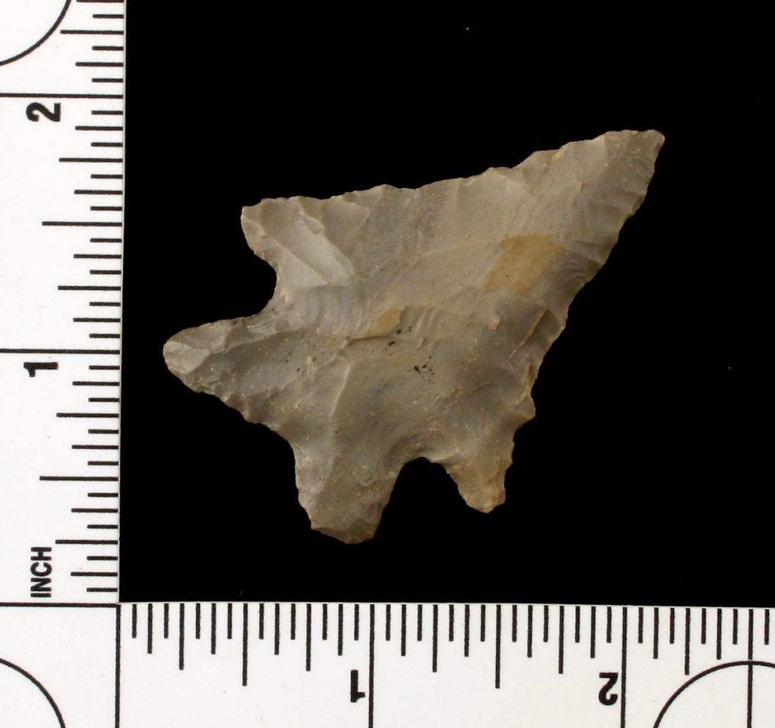 2 1/16" MacCorkle (1 of 2)