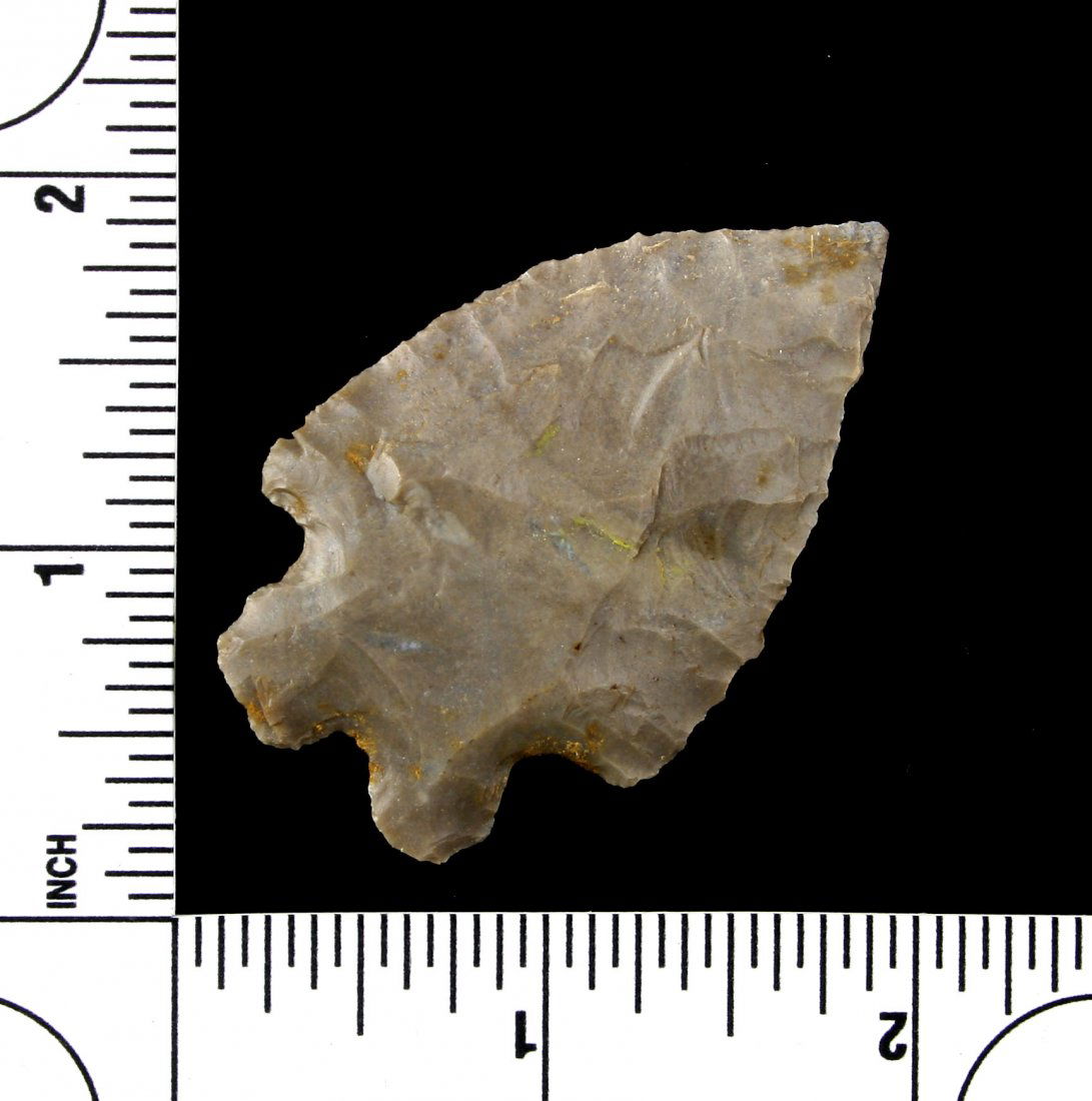 2 1/8" MacCorkle (1 of 2)