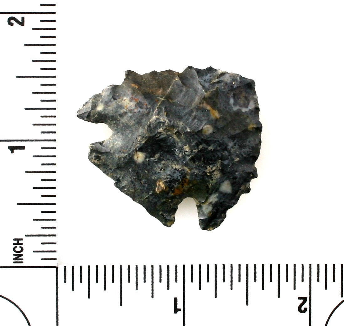 1 5/16" Kirk: Coshocton flint example from Ohio. Formerly of the Harold French Collection.
