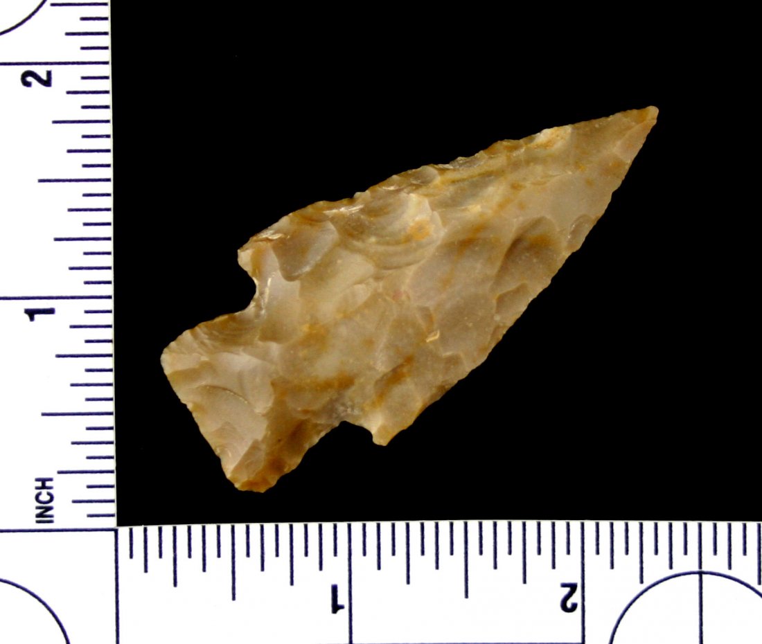 2 3/8" Lange - Stermer COA (1 of 2)