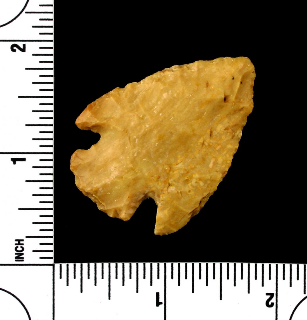 1 15/16" Snyders (1 of 2)