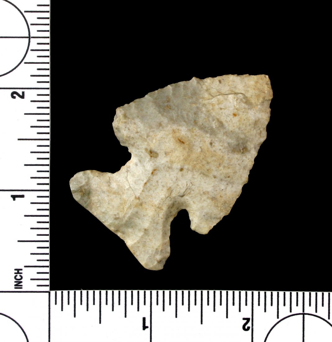 2 3/16" Thebes (1 of 2)