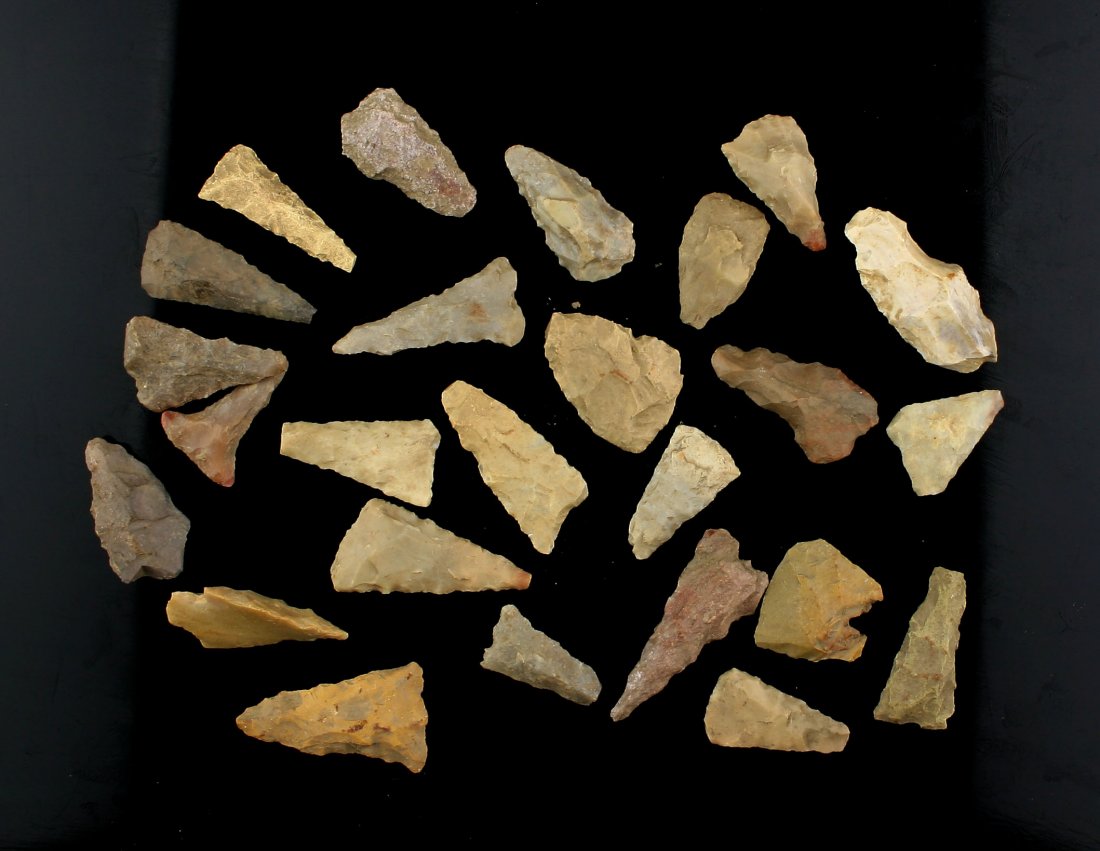 25 nice Eastern Kentucky Birdpoints (1 of 1)