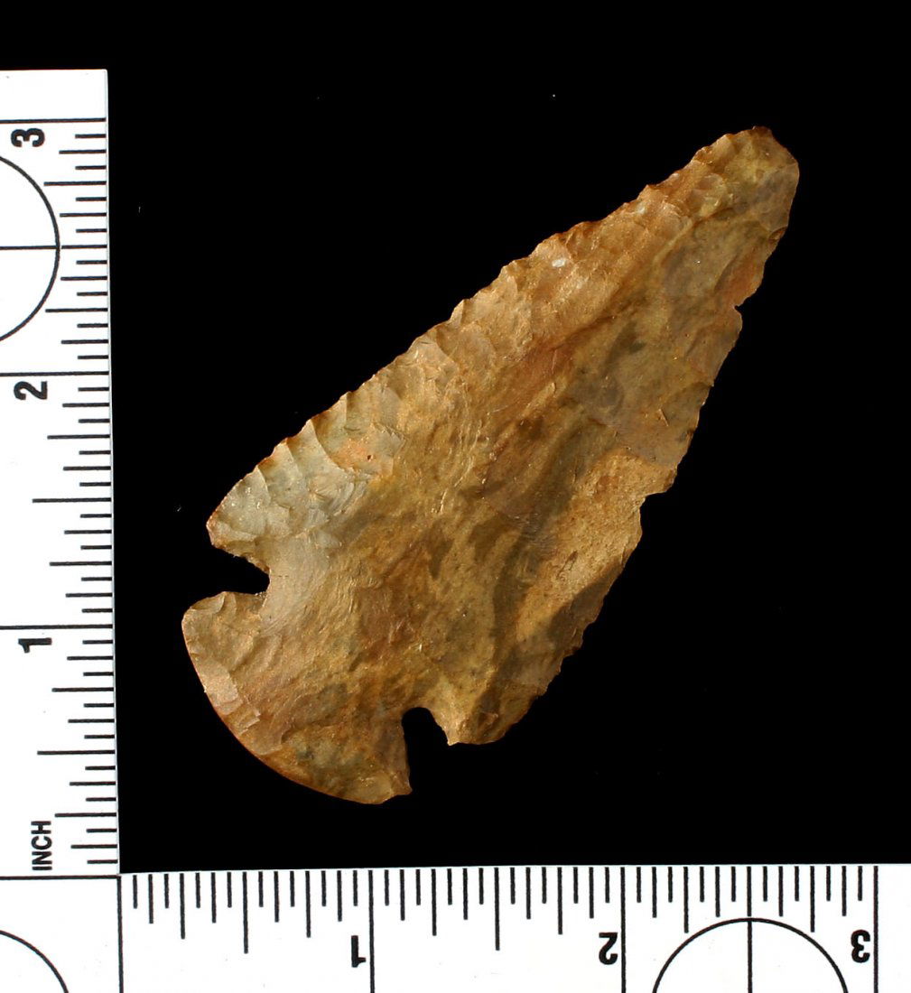 3 1/8" Dovetail (1 of 2)