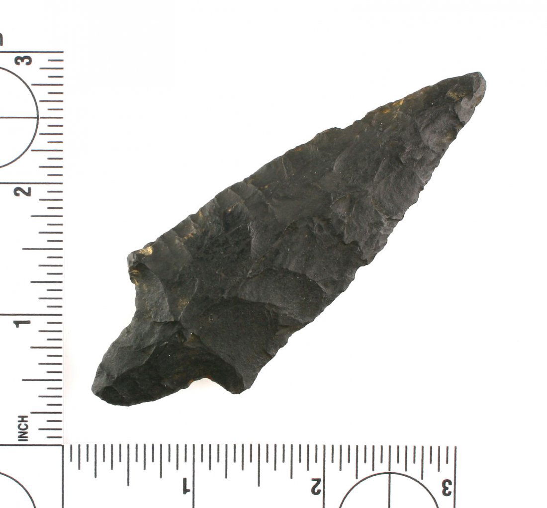 3 3/4" Gary (1 of 2)