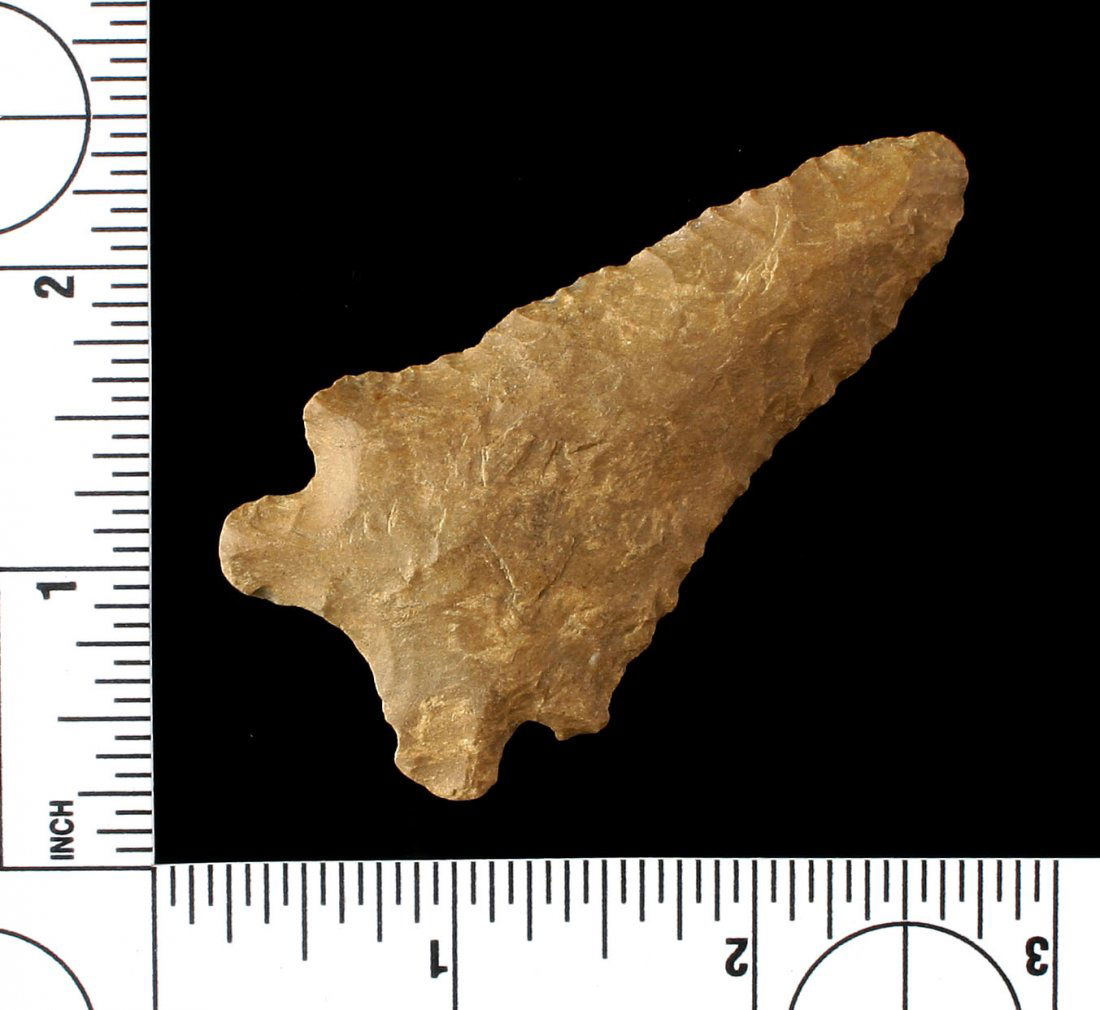 2 3/4" Pinetree (1 of 2)