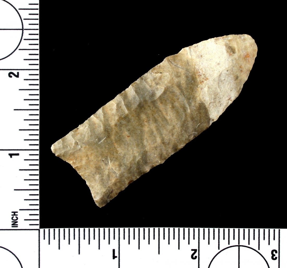 Extra Pretty 2 13/16" Clovis - Jackson G-9+ COA (1 of 2)