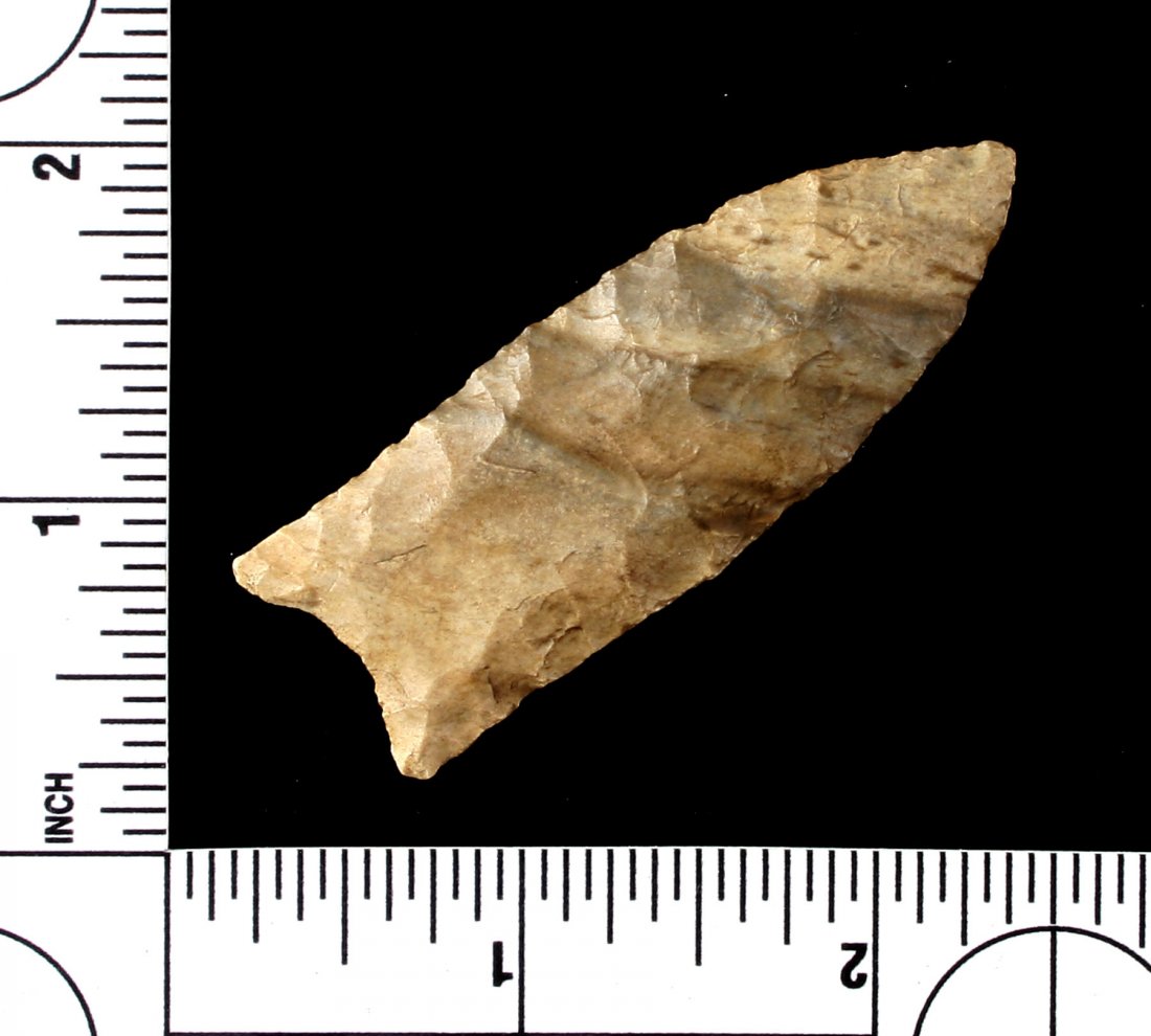 Extra Fine 2 7/16" Clovis - Putty G-8+ COA (1 of 2)