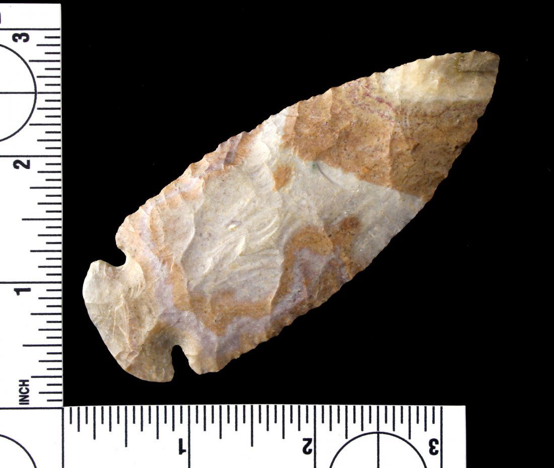 3 7/8" Dovetail (1 of 2)