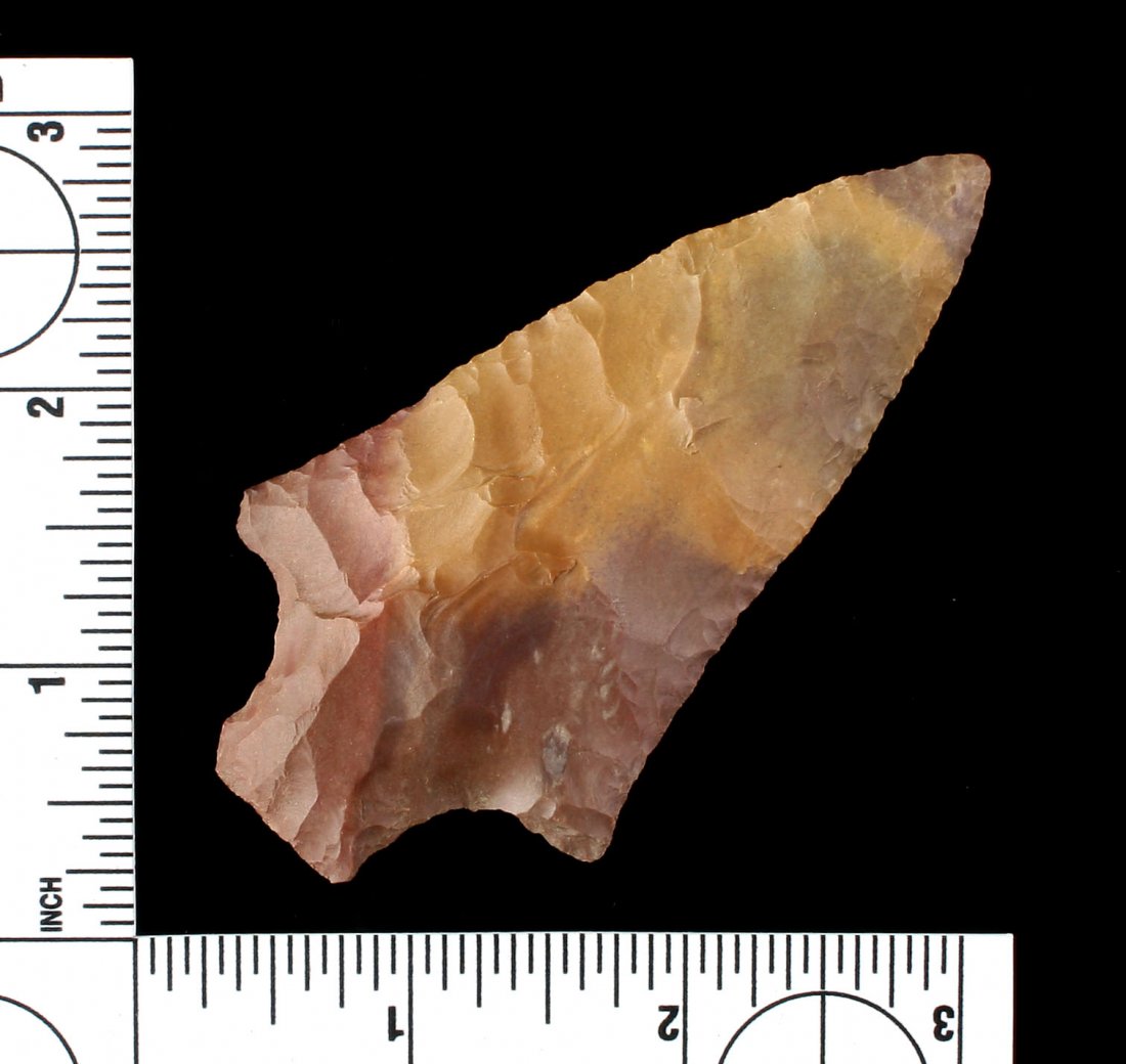 3 1/2" Pickwick (1 of 2)