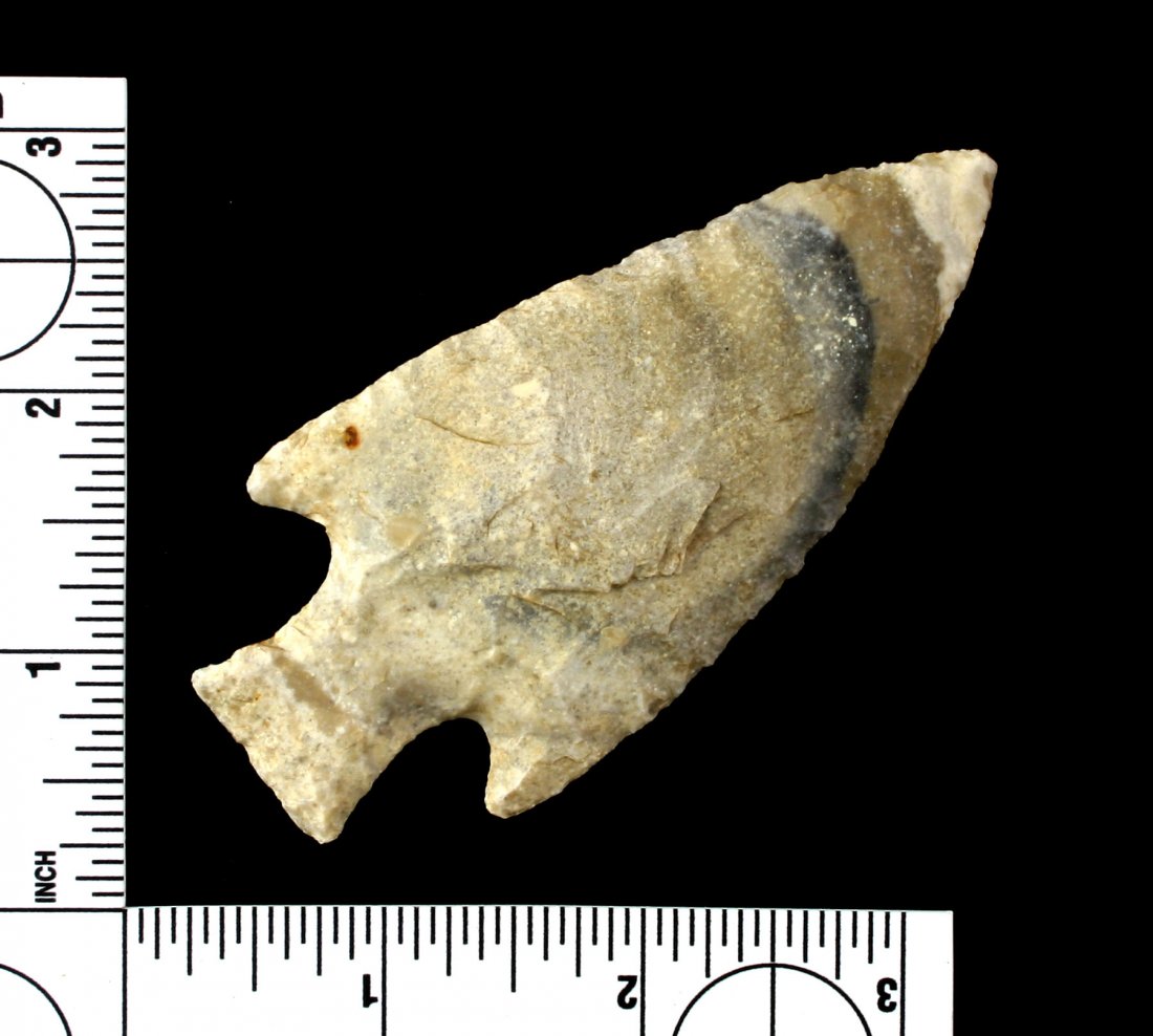 Extremely Colorful 3 11/16" Motley - Jackson G-10 COA (1 of 2)