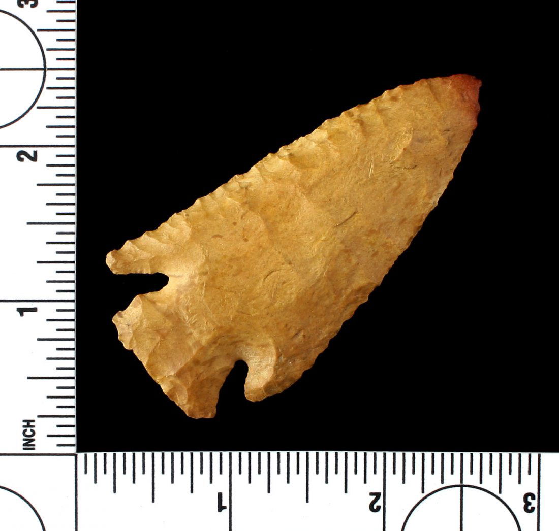 2 7/8" Lost Lake (1 of 2)