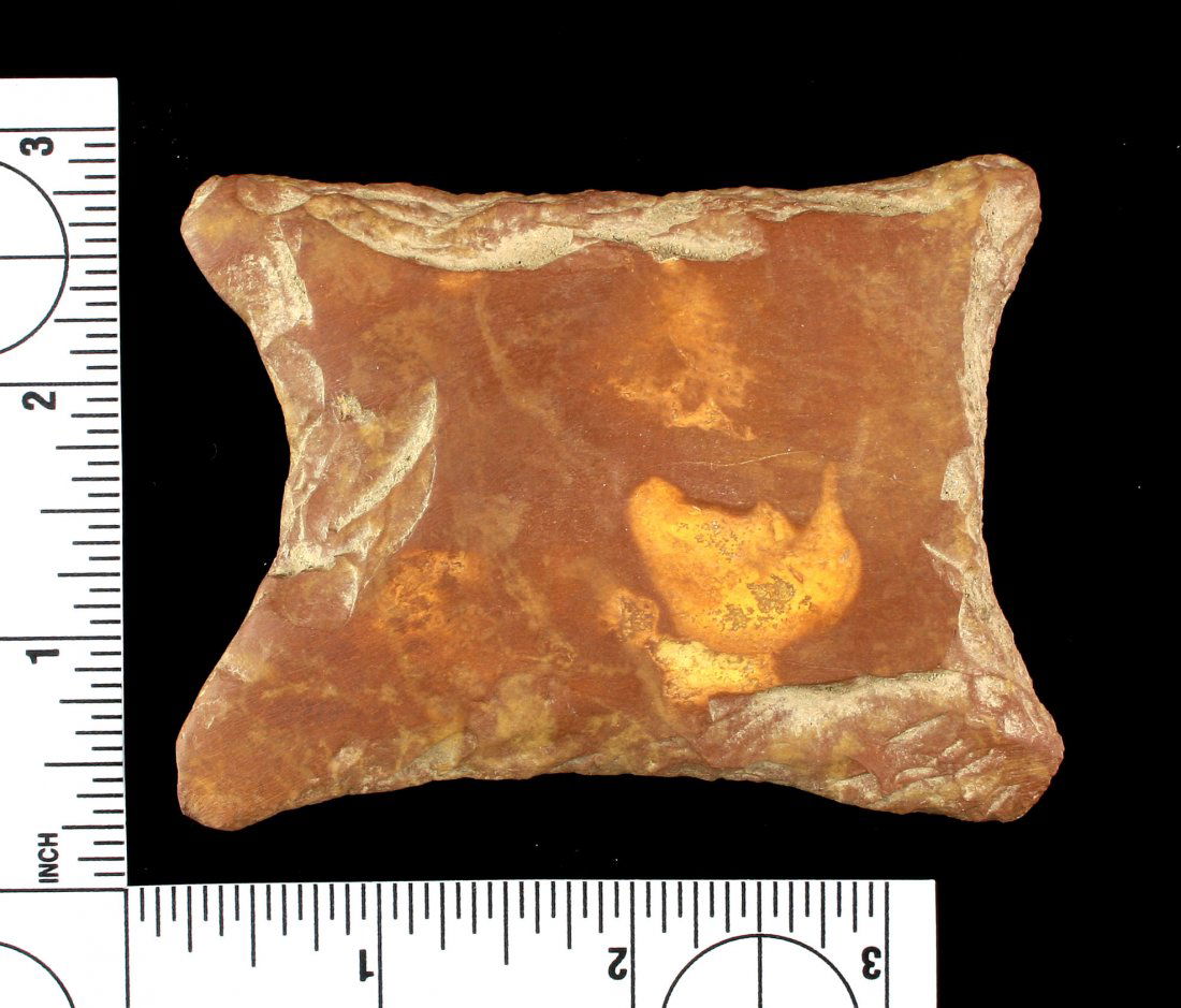 3 1/2" Quadriconcave Gorget Preform (1 of 2)