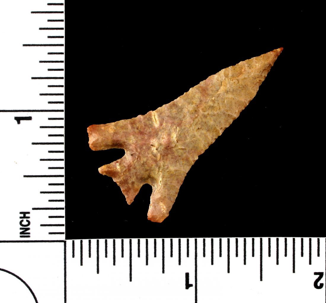 Museum Grade G-10 1 11/16" Catahoula (1 of 2)