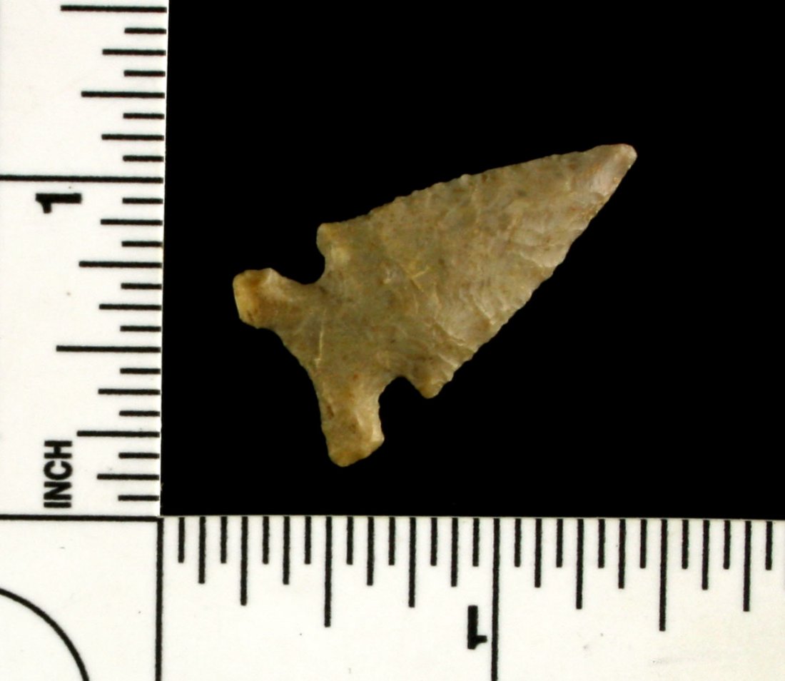 1 1/4" Edwards: Tan Chert example from the Harold French Collection. Texas Type.