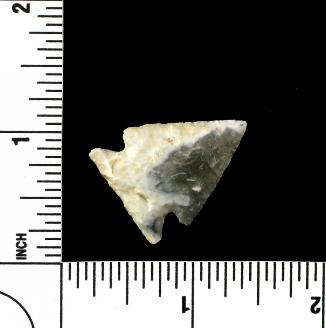 1 1/8" Birdpoint (1 of 2)