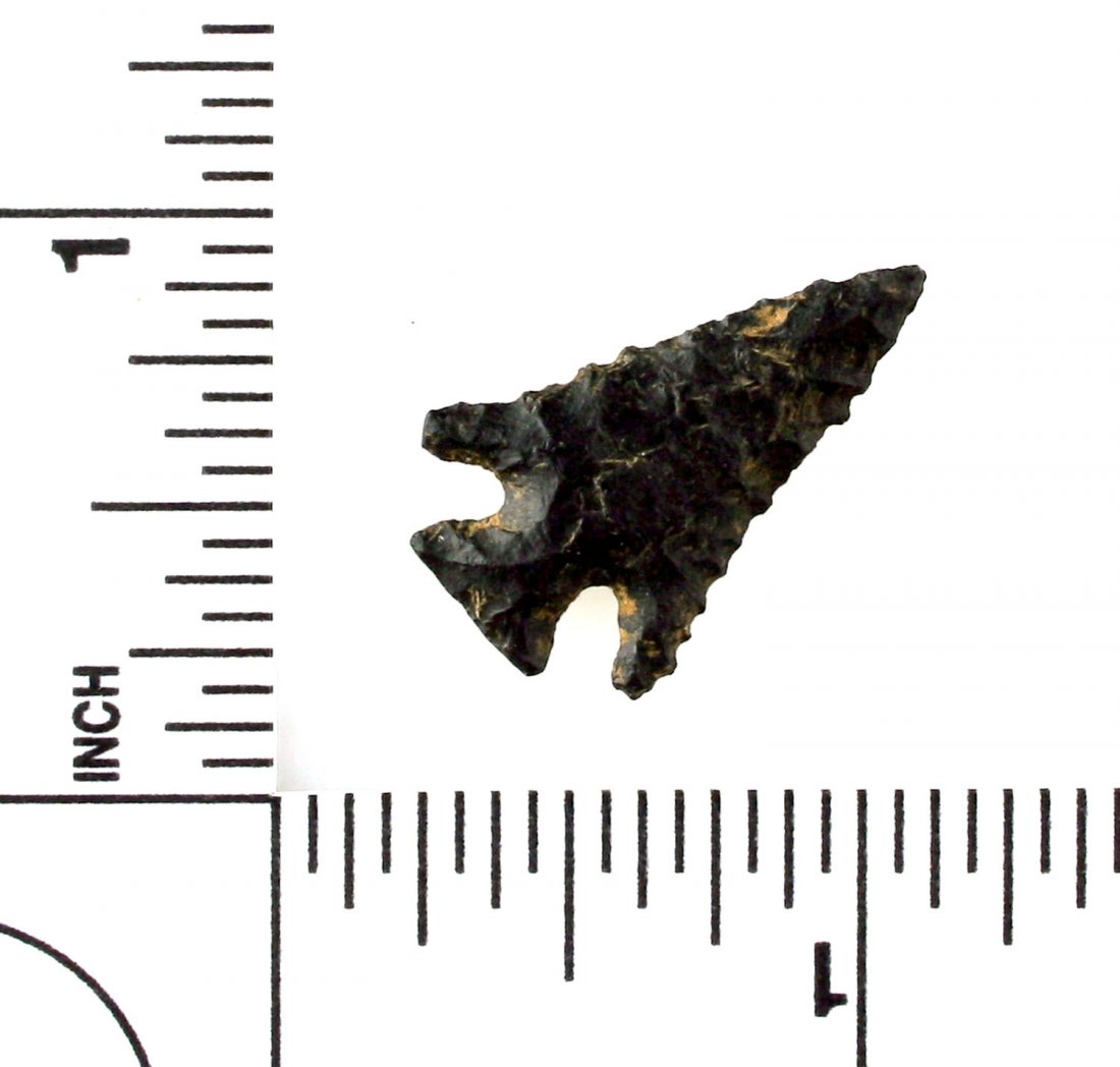 1" Edwards: Nice black chert example from Oklahoma.