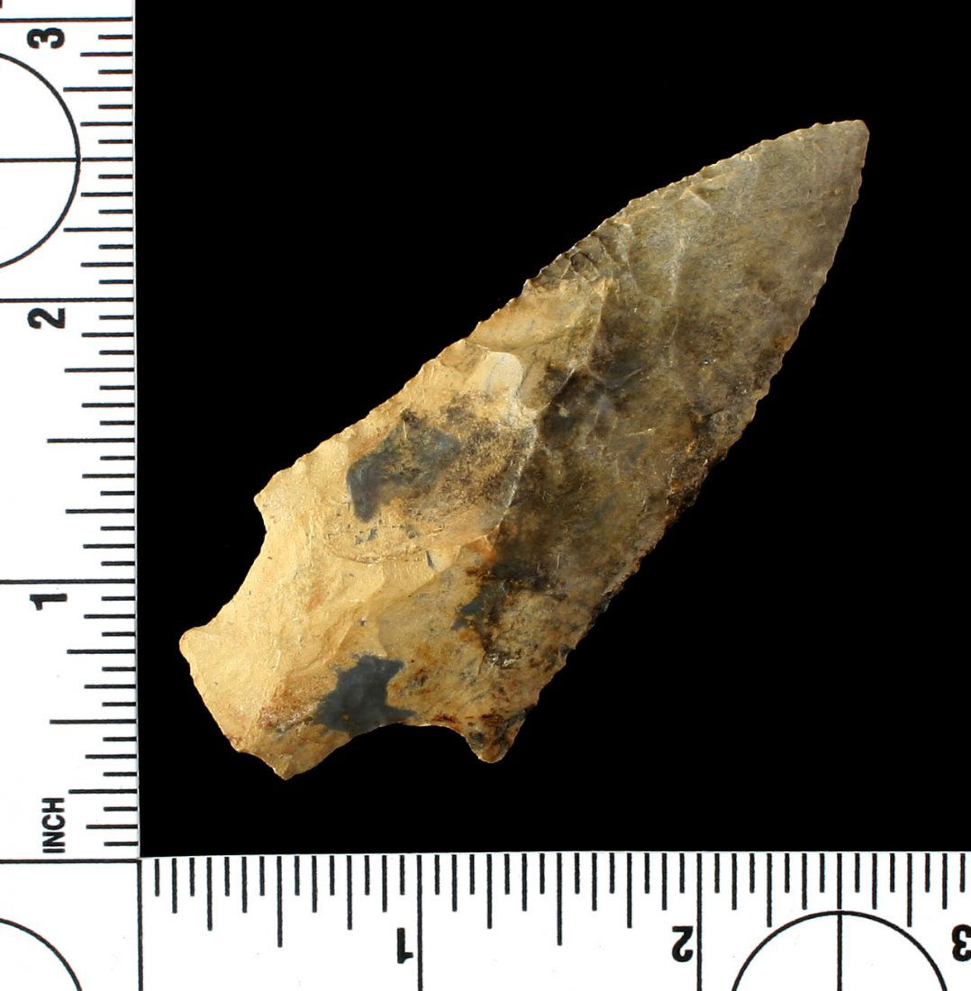 3 1/8" Pickwick (1 of 2)