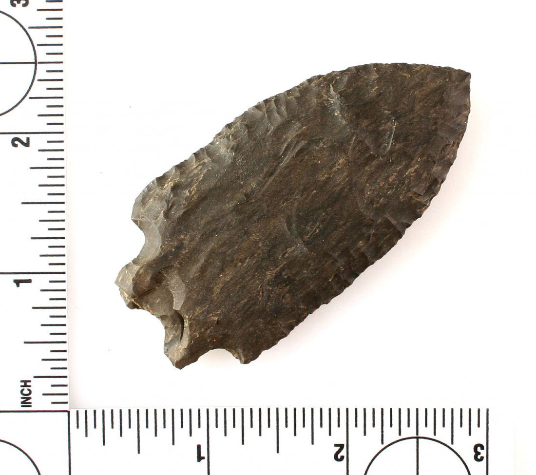 2 15/16" Buzzard Roost Creek (1 of 2)