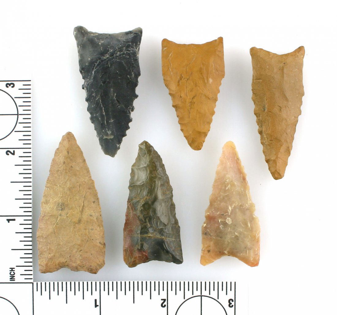 6 Nice Arkansas Daltons (1 of 2)