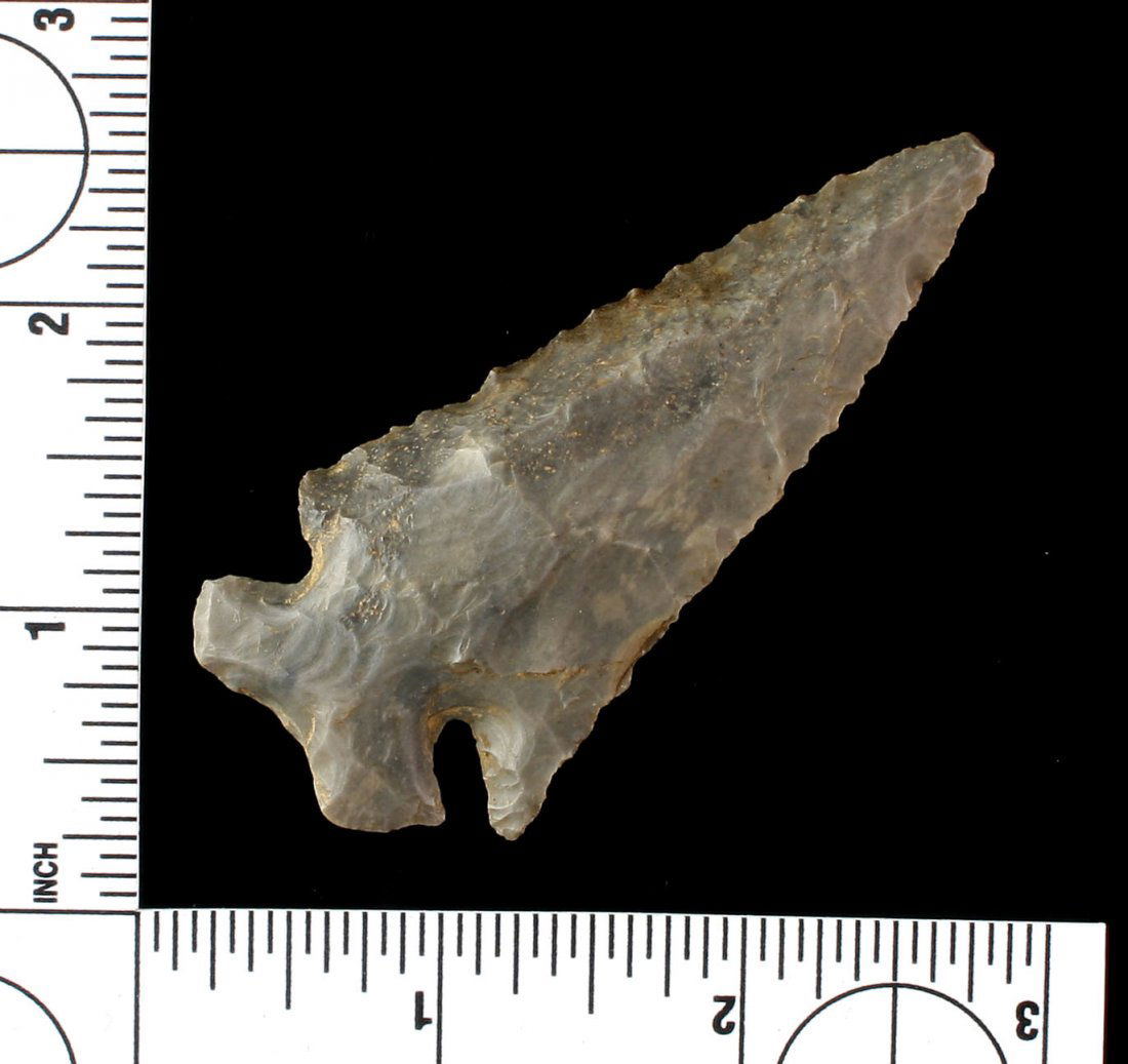 3 1/16" Dovetail (1 of 2)