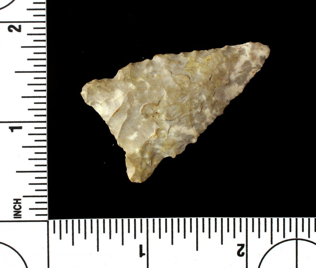 1 3/16" Archaic Side Notch (1 of 3)