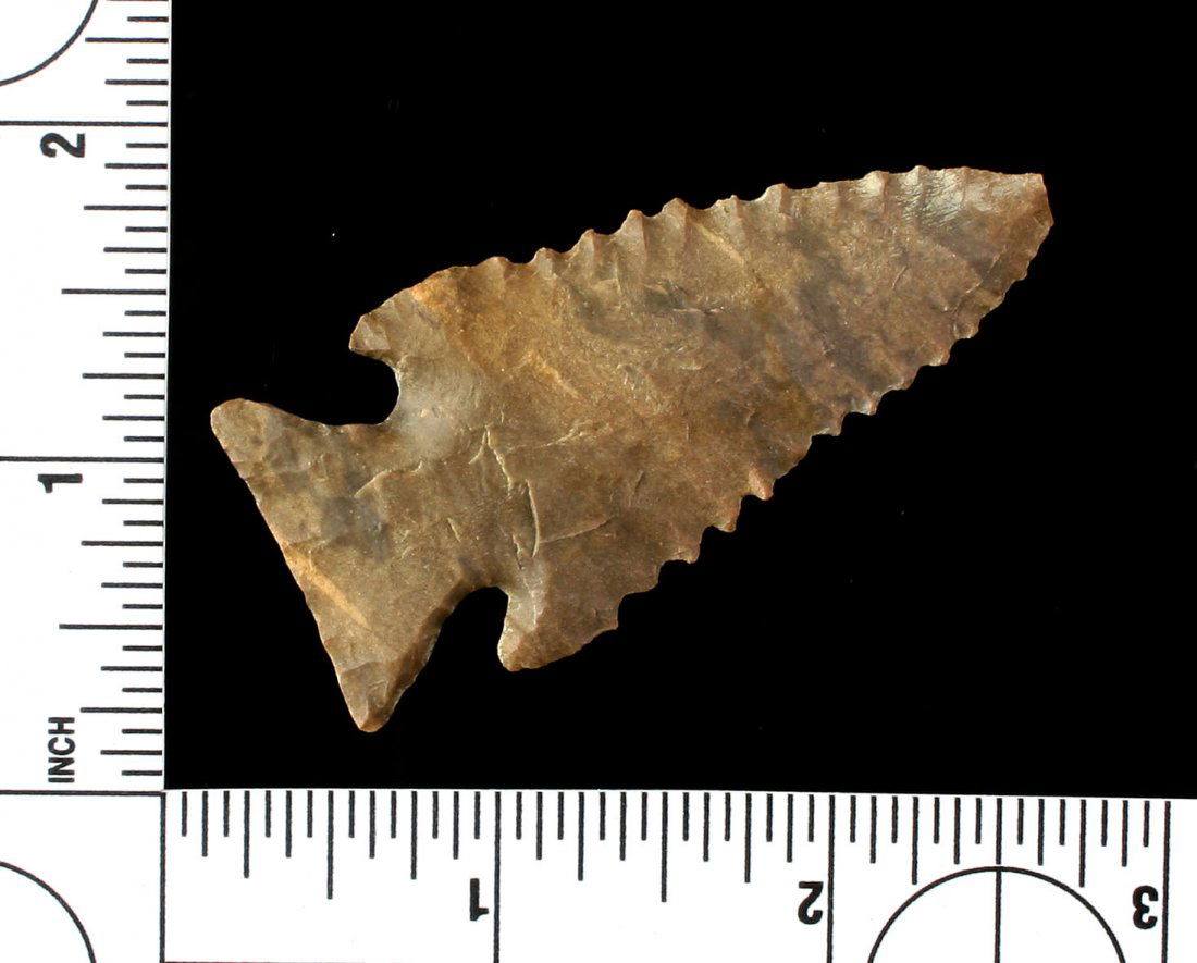 2 9/16" Pinetree (1 of 2)