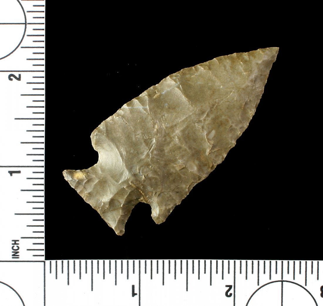 2 9/16" Intrusive Mound (1 of 2)