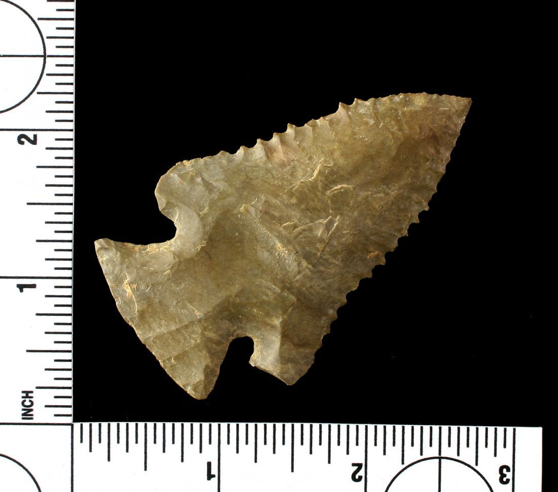 2 3/4" Pinetree (1 of 2)