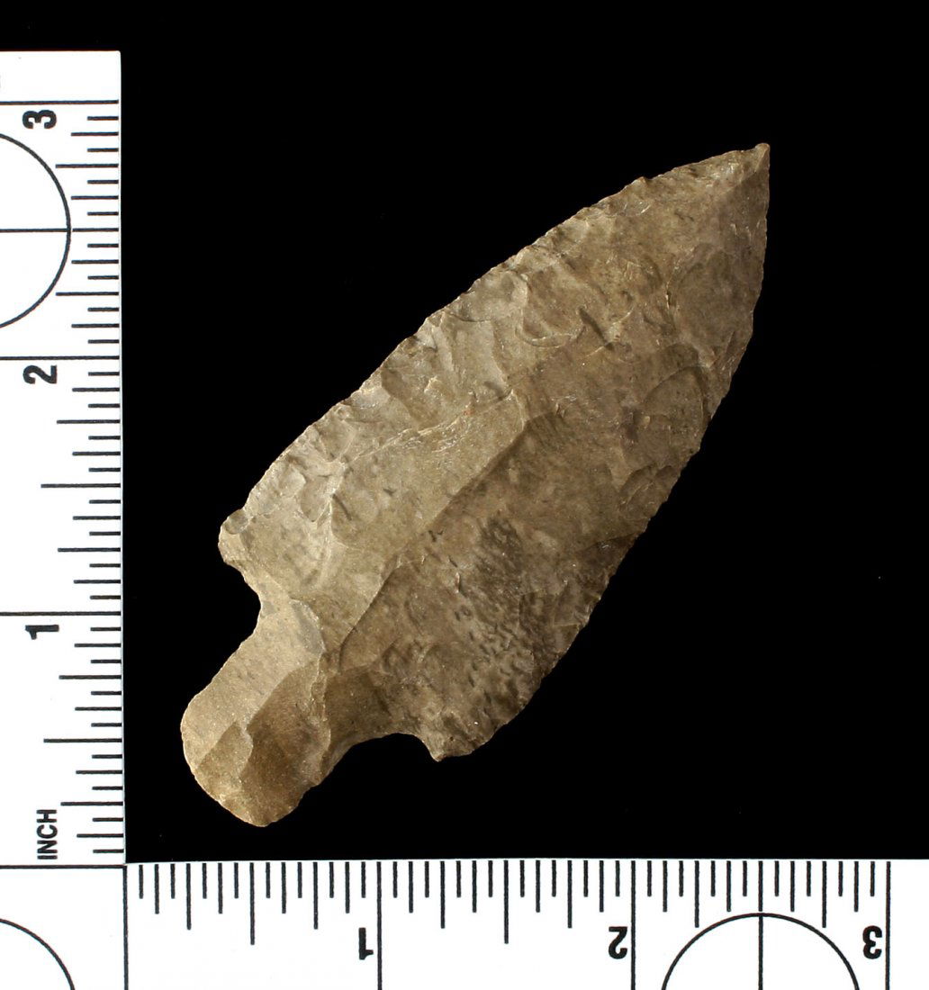 3 5/16" Adena (1 of 2)