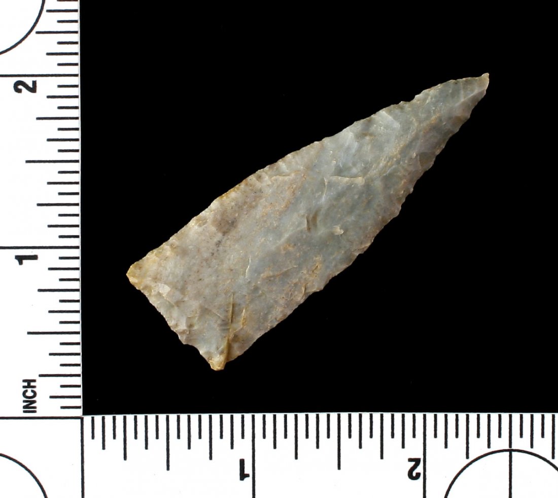 2 3/8" Madison: Blue fossil chert from Central Tennessee. Ex - Griffin Collection.
