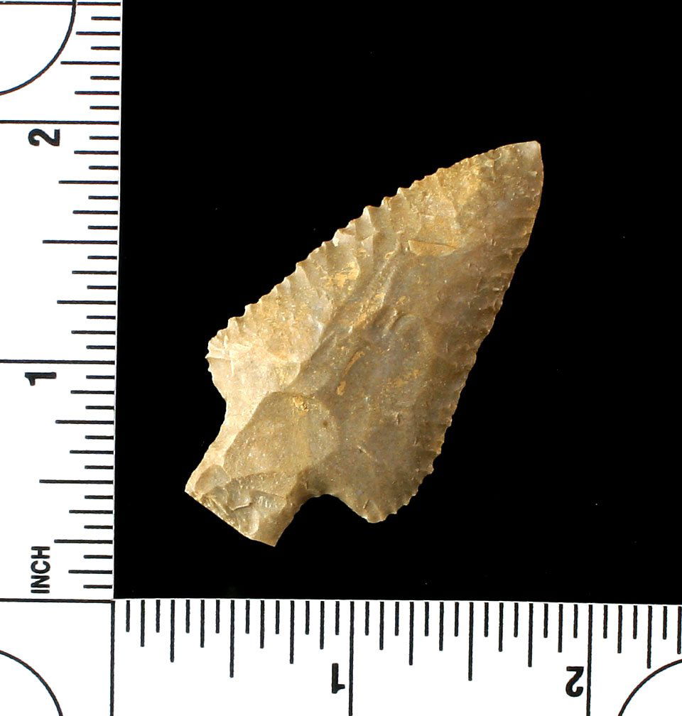 2 1/16" Cotaco Creek (1 of 3)