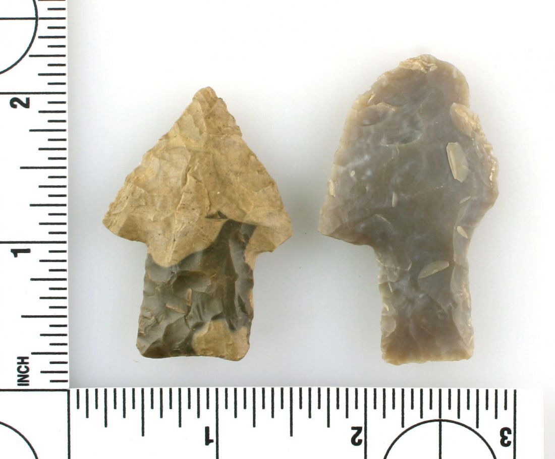 Pair of Andice Points (1 of 1)