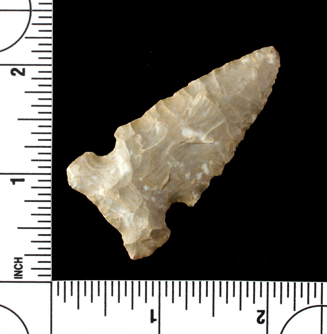 2 14" Big Sandy (1 of 5)