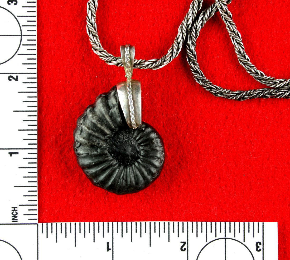 19" Silver Necklace with Ammonite Pendant (1 of 4)